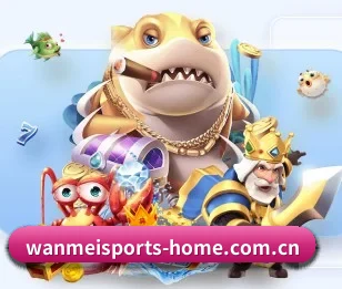 完美体育官方的故事（WANMEISPORTS）