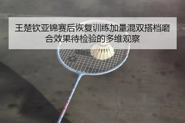 王楚钦亚锦赛后恢复训练加量混双搭档磨合效果待检验的多维观察 - WANMEISPORTS